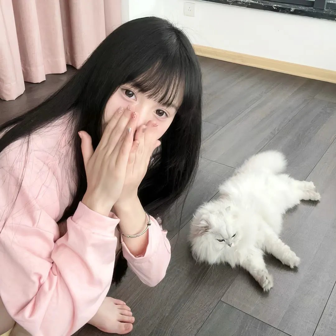 三个火枪手：达达尼昂