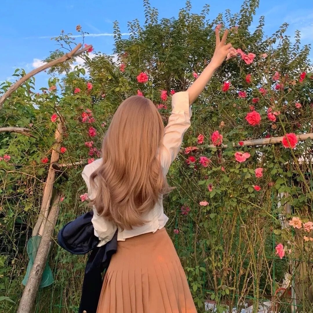 探险手札之未知领域